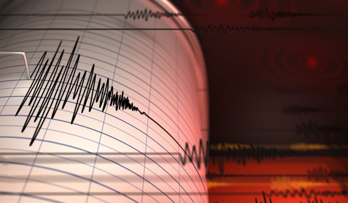 Un nou cutremur in Romania in aceasta dimineata. Unde a avut loc si ce magnitudine a avut.
