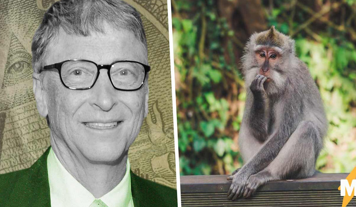 Teoreticienii conspiratiei au legat raspandirea variolei maimutelor de Bill Gates.