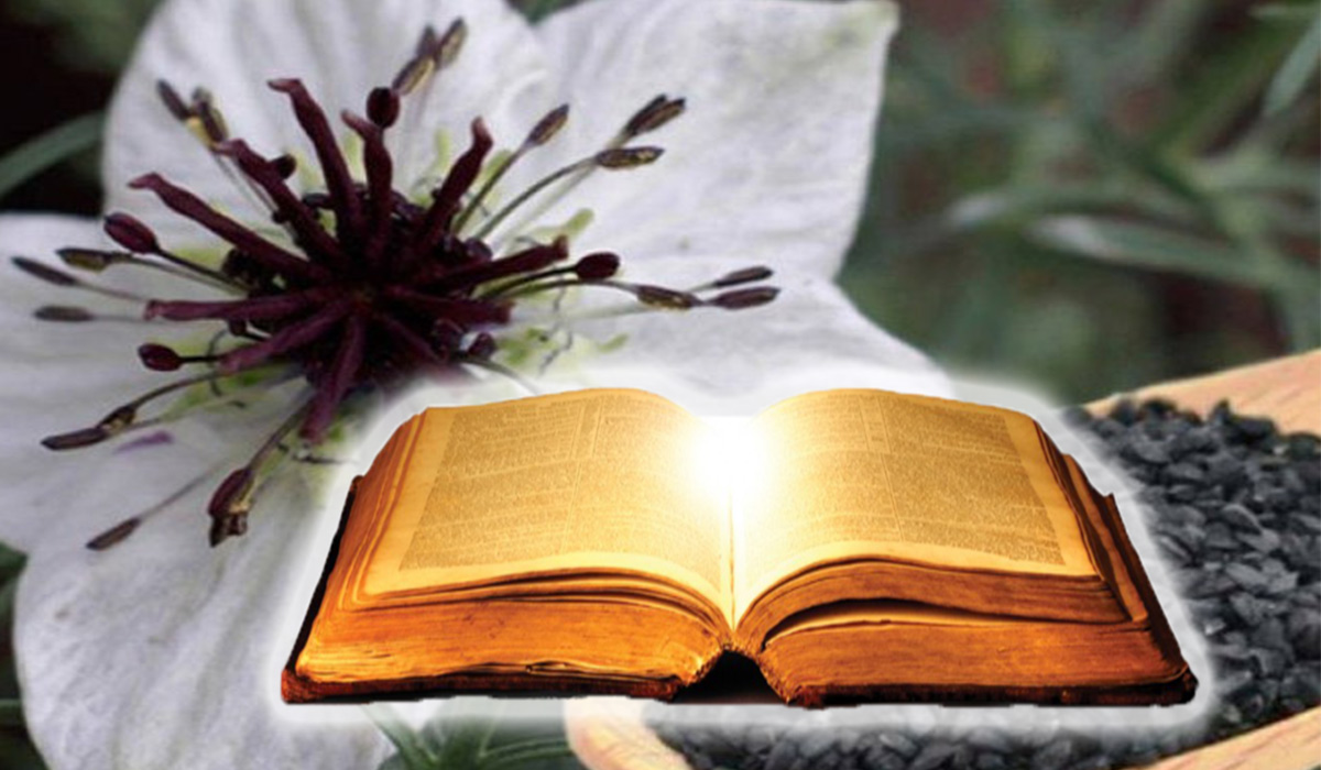 Planta mentionata in Biblie si Coran despre care se spune ca vindeca orice boala. Profetul Mohammed: „Vindecarea pentru orice boala cu exceptia mortii”