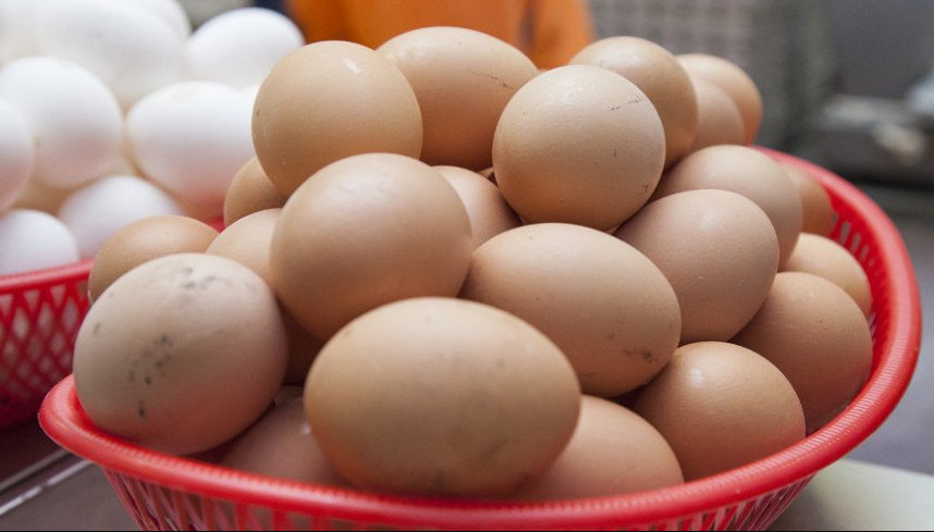 Cat timp rezista ouale de tara in frigider: cum sa testezi prospetimea lor