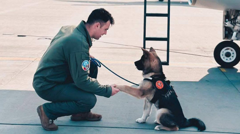 Tragedie in Fortele Aeriene Romane! Un pilot de F-16 s-a stins din viata la 30 de ani in timp ce salva o alta viata