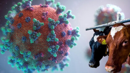 Alerta epidemiologica! Virusul mortal care...
