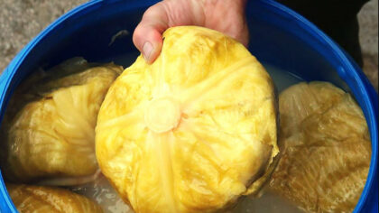 Ce trebuie sa faci daca...