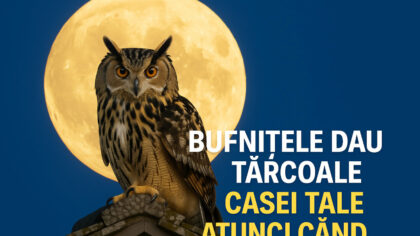 De ce bufnitele dau tarcoale...
