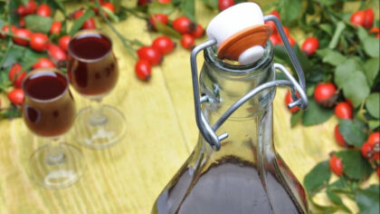 Reteta de vin de macese....