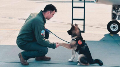 Tragedie in Fortele Aeriene Romane!...