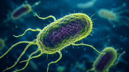 Bacteria mâncătoare de carne” pune...